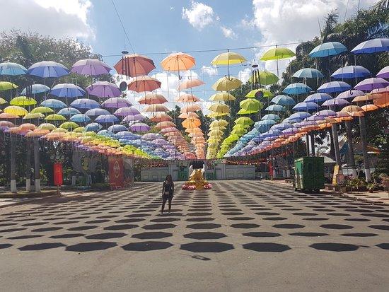 Parc aquatique Đầm Sen Park